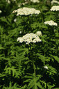BUITEN BEELD Foto: 361800