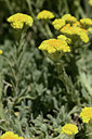 BUITEN BEELD Foto: 361809