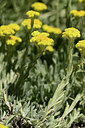 BUITEN BEELD Foto: 361810