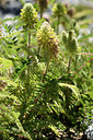 BUITEN BEELD Foto: 361842