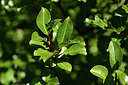 BUITEN BEELD Foto: 361858