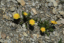 BUITEN BEELD Foto: 361869