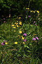BUITEN BEELD Foto: 361901