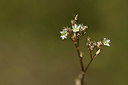 BUITEN BEELD Foto: 361922