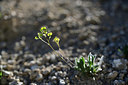 BUITEN BEELD Foto: 361956