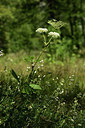 BUITEN BEELD Foto: 361963