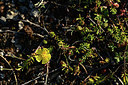 BUITEN BEELD Foto: 361988