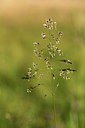 BUITEN BEELD Foto: 361993