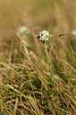 BUITEN BEELD Foto: 361996