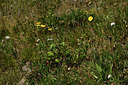 BUITEN BEELD Foto: 362002