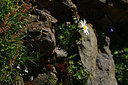 BUITEN BEELD Foto: 362003