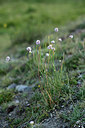 BUITEN BEELD Foto: 362027