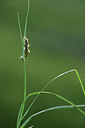 BUITEN BEELD Foto: 362030