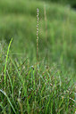 BUITEN BEELD Foto: 362035
