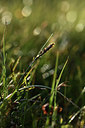 BUITEN BEELD Foto: 362045