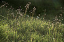 BUITEN BEELD Foto: 362053