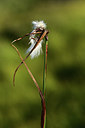 BUITEN BEELD Foto: 362062