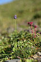 BUITEN BEELD Foto: 362066