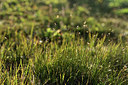 BUITEN BEELD Foto: 362069