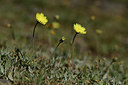BUITEN BEELD Foto: 362071