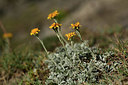BUITEN BEELD Foto: 362078
