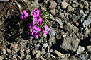 BUITEN BEELD Foto: 362083