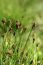 BUITEN BEELD Foto: 362084