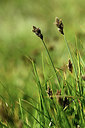 BUITEN BEELD Foto: 362086