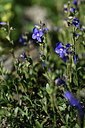 BUITEN BEELD Foto: 362094