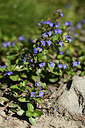 BUITEN BEELD Foto: 362097