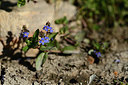 BUITEN BEELD Foto: 362098