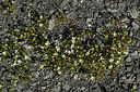 BUITEN BEELD Foto: 362109