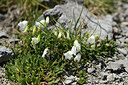 BUITEN BEELD Foto: 362119