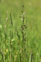 BUITEN BEELD Foto: 362133
