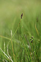 BUITEN BEELD Foto: 362141