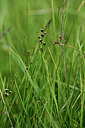 BUITEN BEELD Foto: 362142