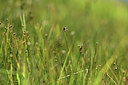 BUITEN BEELD Foto: 362144