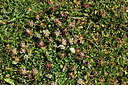 BUITEN BEELD Foto: 362146