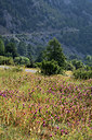 BUITEN BEELD Foto: 362156
