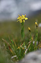 BUITEN BEELD Foto: 362168
