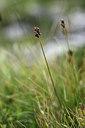 BUITEN BEELD Foto: 362173