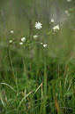BUITEN BEELD Foto: 362176