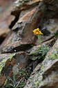 BUITEN BEELD Foto: 362182
