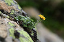 BUITEN BEELD Foto: 362190