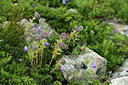 BUITEN BEELD Foto: 362191