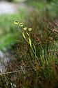BUITEN BEELD Foto: 362200