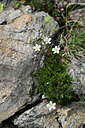 BUITEN BEELD Foto: 362203