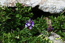 BUITEN BEELD Foto: 362204