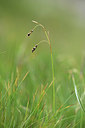 BUITEN BEELD Foto: 362211