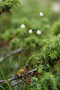 BUITEN BEELD Foto: 362220